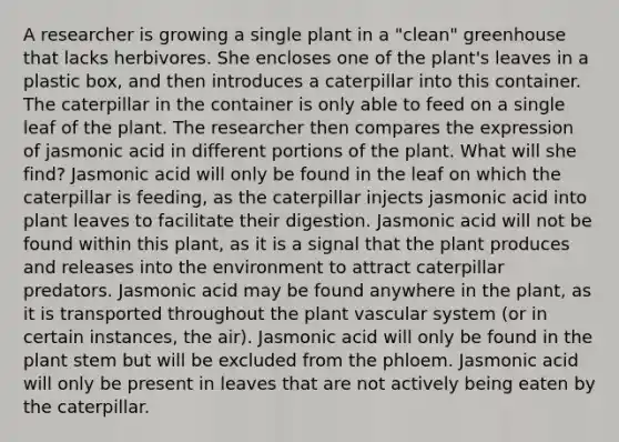 A researcher is growing a single plant in a "clean" greenhouse that lacks herbivores. She encloses one of the plant's leaves in a plastic box, and then introduces a caterpillar into this container. The caterpillar in the container is only able to feed on a single leaf of the plant. The researcher then compares the expression of jasmonic acid in different portions of the plant. What will she find? Jasmonic acid will only be found in the leaf on which the caterpillar is feeding, as the caterpillar injects jasmonic acid into plant leaves to facilitate their digestion. Jasmonic acid will not be found within this plant, as it is a signal that the plant produces and releases into the environment to attract caterpillar predators. Jasmonic acid may be found anywhere in the plant, as it is transported throughout the plant vascular system (or in certain instances, the air). Jasmonic acid will only be found in the plant stem but will be excluded from the phloem. Jasmonic acid will only be present in leaves that are not actively being eaten by the caterpillar.