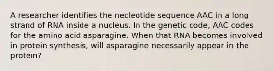 A researcher identifies the necleotide sequence AAC in a long strand of RNA inside a nucleus. In the genetic code, AAC codes for the amino acid asparagine. When that RNA becomes involved in protein synthesis, will asparagine necessarily appear in the protein?