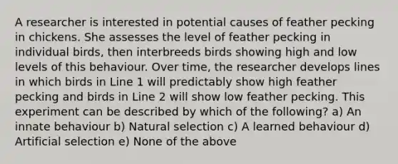 A researcher is interested in potential causes of feather pecking in chickens. She assesses the level of feather pecking in individual birds, then interbreeds birds showing high and low levels of this behaviour. Over time, the researcher develops lines in which birds in Line 1 will predictably show high feather pecking and birds in Line 2 will show low feather pecking. This experiment can be described by which of the following? a) An innate behaviour b) Natural selection c) A learned behaviour d) Artificial selection e) None of the above