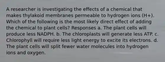 A researcher is investigating the effects of a chemical that makes thylakoid membranes permeable to hydrogen ions (H+). Which of the following is the most likely direct effect of adding the chemical to plant cells? Responses a. The plant cells will produce less NADPH. b. The chloroplasts will generate less ATP. c. Chlorophyll will require less light energy to excite its electrons. d. The plant cells will split fewer water molecules into hydrogen ions and oxygen.