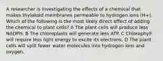 A researcher is investigating the effects of a chemical that makes thylakoid membranes permeable to hydrogen ions (H+). Which of the following is the most likely direct effect of adding the chemical to plant cells? A The plant cells will produce less NADPH. B The chloroplasts will generate less ATP. C Chlorophyll will require less light energy to excite its electrons. D The plant cells will split fewer water molecules into hydrogen ions and oxygen.