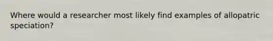 Where would a researcher most likely find examples of allopatric speciation?