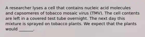 A researcher lyses a cell that contains nucleic acid molecules and capsomeres of tobacco mosaic virus (TMV). The cell contents are left in a covered test tube overnight. The next day this mixture is sprayed on tobacco plants. We expect that the plants would _______.