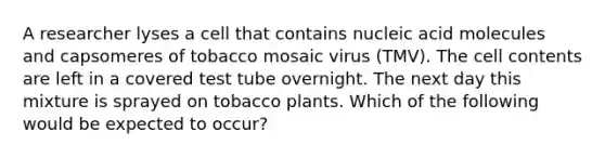 A researcher lyses a cell that contains nucleic acid molecules and capsomeres of tobacco mosaic virus (TMV). The cell contents are left in a covered test tube overnight. The next day this mixture is sprayed on tobacco plants. Which of the following would be expected to occur?