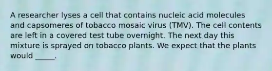 A researcher lyses a cell that contains nucleic acid molecules and capsomeres of tobacco mosaic virus (TMV). The cell contents are left in a covered test tube overnight. The next day this mixture is sprayed on tobacco plants. We expect that the plants would _____.