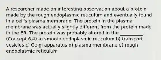 A researcher made an interesting observation about a protein made by the rough endoplasmic reticulum and eventually found in a cell's plasma membrane. The protein in the plasma membrane was actually slightly different from the protein made in the ER. The protein was probably altered in the __________. (Concept 6.4) a) smooth endoplasmic reticulum b) transport vesicles c) Golgi apparatus d) plasma membrane e) rough endoplasmic reticulum