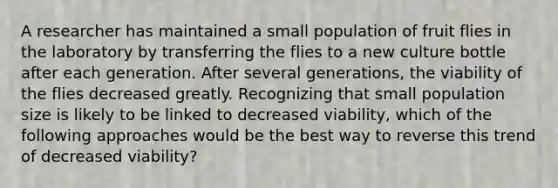 A researcher has maintained a small population of fruit flies in the laboratory by transferring the flies to a new culture bottle after each generation. After several generations, the viability of the flies decreased greatly. Recognizing that small population size is likely to be linked to decreased viability, which of the following approaches would be the best way to reverse this trend of decreased viability?