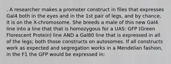 . A researcher makes a promoter construct in files that expresses Gal4 both in the eyes and in the 1st pair of legs, and by chance, it is on the X-chromosome. She breeds a male of this new Gal4 line into a line that that is homozygous for a UAS: GFP (Green Florescent Protein) line AND a Gal80 line that is expressed in all of the legs; both those constructs on autosomes. If all constructs work as expected and segregation works in a Mendelian fashion, in the F1 the GFP would be expressed in: