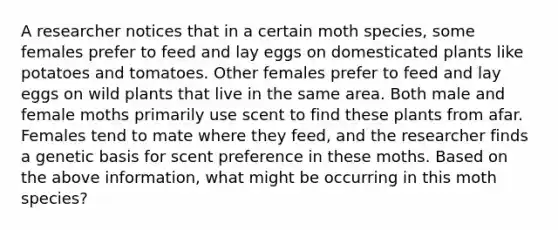 A researcher notices that in a certain moth species, some females prefer to feed and lay eggs on domesticated plants like potatoes and tomatoes. Other females prefer to feed and lay eggs on wild plants that live in the same area. Both male and female moths primarily use scent to find these plants from afar. Females tend to mate where they feed, and the researcher finds a genetic basis for scent preference in these moths. Based on the above information, what might be occurring in this moth species?