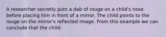 A researcher secretly puts a dab of rouge on a child's nose before placing him in front of a mirror. The child points to the rouge on the mirror's reflected image. From this example we can conclude that the child: