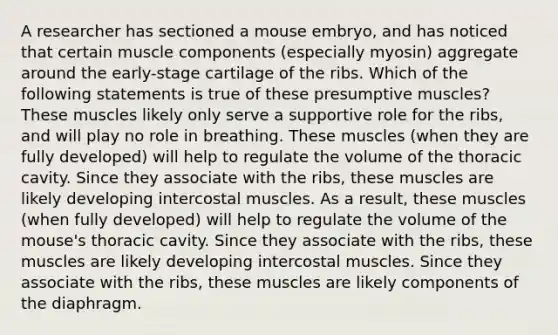 A researcher has sectioned a mouse embryo, and has noticed that certain muscle components (especially myosin) aggregate around the early-stage cartilage of the ribs. Which of the following statements is true of these presumptive muscles? These muscles likely only serve a supportive role for the ribs, and will play no role in breathing. These muscles (when they are fully developed) will help to regulate the volume of the thoracic cavity. Since they associate with the ribs, these muscles are likely developing intercostal muscles. As a result, these muscles (when fully developed) will help to regulate the volume of the mouse's thoracic cavity. Since they associate with the ribs, these muscles are likely developing intercostal muscles. Since they associate with the ribs, these muscles are likely components of the diaphragm.