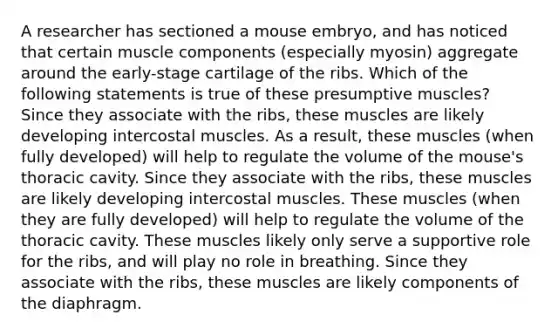 A researcher has sectioned a mouse embryo, and has noticed that certain muscle components (especially myosin) aggregate around the early-stage cartilage of the ribs. Which of the following statements is true of these presumptive muscles? Since they associate with the ribs, these muscles are likely developing intercostal muscles. As a result, these muscles (when fully developed) will help to regulate the volume of the mouse's thoracic cavity. Since they associate with the ribs, these muscles are likely developing intercostal muscles. These muscles (when they are fully developed) will help to regulate the volume of the thoracic cavity. These muscles likely only serve a supportive role for the ribs, and will play no role in breathing. Since they associate with the ribs, these muscles are likely components of the diaphragm.