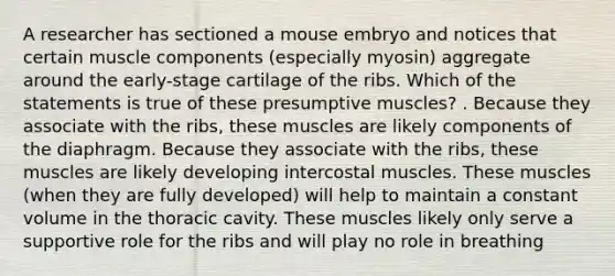 A researcher has sectioned a mouse embryo and notices that certain muscle components (especially myosin) aggregate around the early-stage cartilage of the ribs. Which of the statements is true of these presumptive muscles? . Because they associate with the ribs, these muscles are likely components of the diaphragm. Because they associate with the ribs, these muscles are likely developing intercostal muscles. These muscles (when they are fully developed) will help to maintain a constant volume in the thoracic cavity. These muscles likely only serve a supportive role for the ribs and will play no role in breathing