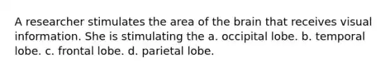 A researcher stimulates the area of the brain that receives visual information. She is stimulating the a. occipital lobe. b. temporal lobe. c. frontal lobe. d. parietal lobe.