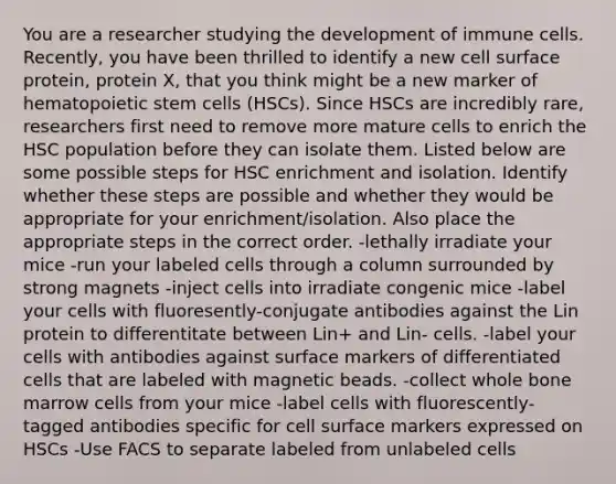 You are a researcher studying the development of immune cells. Recently, you have been thrilled to identify a new cell surface protein, protein X, that you think might be a new marker of hematopoietic stem cells (HSCs). Since HSCs are incredibly rare, researchers first need to remove more mature cells to enrich the HSC population before they can isolate them. Listed below are some possible steps for HSC enrichment and isolation. Identify whether these steps are possible and whether they would be appropriate for your enrichment/isolation. Also place the appropriate steps in the correct order. -lethally irradiate your mice -run your labeled cells through a column surrounded by strong magnets -inject cells into irradiate congenic mice -label your cells with fluoresently-conjugate antibodies against the Lin protein to differentitate between Lin+ and Lin- cells. -label your cells with antibodies against surface markers of differentiated cells that are labeled with magnetic beads. -collect whole bone marrow cells from your mice -label cells with fluorescently-tagged antibodies specific for cell surface markers expressed on HSCs -Use FACS to separate labeled from unlabeled cells