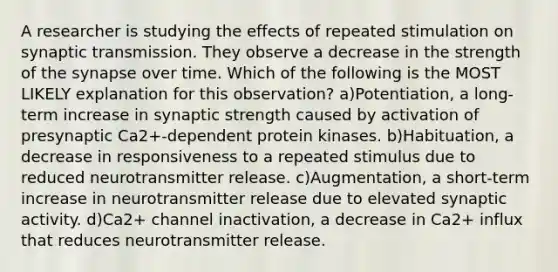 A researcher is studying the effects of repeated stimulation on synaptic transmission. They observe a decrease in the strength of the synapse over time. Which of the following is the MOST LIKELY explanation for this observation? a)Potentiation, a long-term increase in synaptic strength caused by activation of presynaptic Ca2+-dependent protein kinases. b)Habituation, a decrease in responsiveness to a repeated stimulus due to reduced neurotransmitter release. c)Augmentation, a short-term increase in neurotransmitter release due to elevated synaptic activity. d)Ca2+ channel inactivation, a decrease in Ca2+ influx that reduces neurotransmitter release.