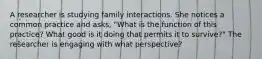 A researcher is studying family interactions. She notices a common practice and asks, "What is the function of this practice? What good is it doing that permits it to survive?" The researcher is engaging with what perspective?