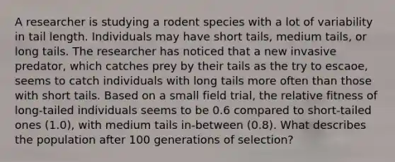 A researcher is studying a rodent species with a lot of variability in tail length. Individuals may have short tails, medium tails, or long tails. The researcher has noticed that a new invasive predator, which catches prey by their tails as the try to escaoe, seems to catch individuals with long tails more often than those with short tails. Based on a small field trial, the relative fitness of long-tailed individuals seems to be 0.6 compared to short-tailed ones (1.0), with medium tails in-between (0.8). What describes the population after 100 generations of selection?