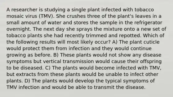 A researcher is studying a single plant infected with tobacco mosaic virus (TMV). She crushes three of the plant's leaves in a small amount of water and stores the sample in the refrigerator overnight. The next day she sprays the mixture onto a new set of tobacco plants she had recently trimmed and repotted. Which of the following results will most likely occur? A) The plant cuticle would protect them from infection and they would continue growing as before. B) These plants would not show any disease symptoms but vertical transmission would cause their offspring to be diseased. C) The plants would become infected with TMV, but extracts from these plants would be unable to infect other plants. D) The plants would develop the typical symptoms of TMV infection and would be able to transmit the disease.