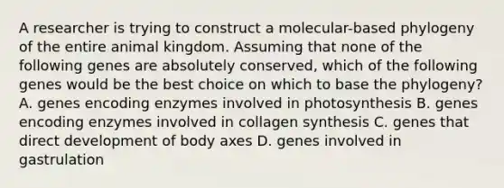 A researcher is trying to construct a molecular-based phylogeny of the entire animal kingdom. Assuming that none of the following genes are absolutely conserved, which of the following genes would be the best choice on which to base the phylogeny? A. genes encoding enzymes involved in photosynthesis B. genes encoding enzymes involved in collagen synthesis C. genes that direct development of body axes D. genes involved in gastrulation