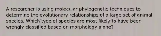 A researcher is using molecular phylogenetic techniques to determine the evolutionary relationships of a large set of animal species. Which type of species are most likely to have been wrongly classified based on morphology alone?