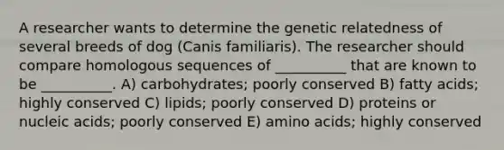 A researcher wants to determine the genetic relatedness of several breeds of dog (Canis familiaris). The researcher should compare homologous sequences of __________ that are known to be __________. A) carbohydrates; poorly conserved B) fatty acids; highly conserved C) lipids; poorly conserved D) proteins or nucleic acids; poorly conserved E) amino acids; highly conserved