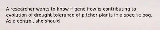 A researcher wants to know if gene flow is contributing to evolution of drought tolerance of pitcher plants in a specific bog. As a control, she should