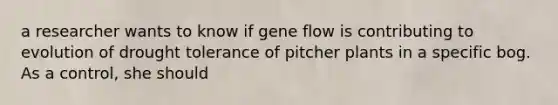 a researcher wants to know if gene flow is contributing to evolution of drought tolerance of pitcher plants in a specific bog. As a control, she should