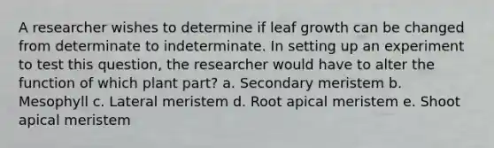 A researcher wishes to determine if leaf growth can be changed from determinate to indeterminate. In setting up an experiment to test this question, the researcher would have to alter the function of which plant part? a. Secondary meristem b. Mesophyll c. Lateral meristem d. Root apical meristem e. Shoot apical meristem