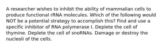 A researcher wishes to inhibit the ability of mammalian cells to produce functional rRNA molecules. Which of the following would NOT be a potential strategy to accomplish this? Find and use a specific inhibitor of RNA polymerase I. Deplete the cell of thymine. Deplete the cell of snoRNAs. Damage or destroy the nucleoli of the cells.