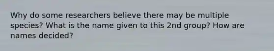 Why do some researchers believe there may be multiple species? What is the name given to this 2nd group? How are names decided?
