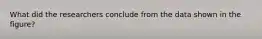 What did the researchers conclude from the data shown in the figure?