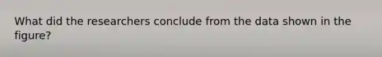 What did the researchers conclude from the data shown in the figure?