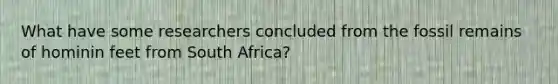 ​What have some researchers concluded from the fossil remains of hominin feet from South Africa?