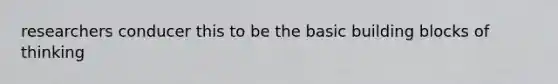 researchers conducer this to be the basic building blocks of thinking
