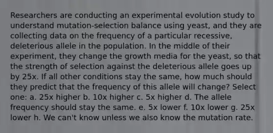 Researchers are conducting an experimental evolution study to understand mutation-selection balance using yeast, and they are collecting data on the frequency of a particular recessive, deleterious allele in the population. In the middle of their experiment, they change the growth media for the yeast, so that the strength of selection against the deleterious allele goes up by 25x. If all other conditions stay the same, how much should they predict that the frequency of this allele will change? Select one: a. 25x higher b. 10x higher c. 5x higher d. The allele frequency should stay the same. e. 5x lower f. 10x lower g. 25x lower h. We can't know unless we also know the mutation rate.