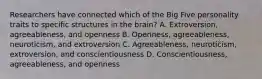 Researchers have connected which of the Big Five personality traits to specific structures in the brain? A. Extroversion, agreeableness, and openness B. Openness, agreeableness, neuroticism, and extroversion C. Agreeableness, neuroticism, extroversion, and conscientiousness D. Conscientiousness, agreeableness, and openness