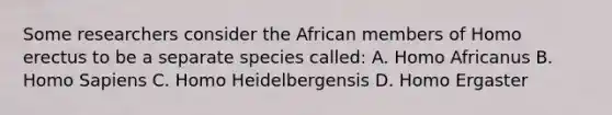 Some researchers consider the African members of Homo erectus to be a separate species called: A. Homo Africanus B. Homo Sapiens C. Homo Heidelbergensis D. Homo Ergaster