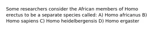 Some researchers consider the African members of Homo erectus to be a separate species called: A) Homo africanus B) Homo sapiens C) Homo heidelbergensis D) Homo ergaster