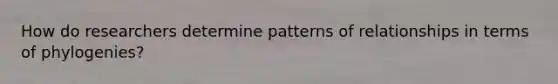 How do researchers determine patterns of relationships in terms of phylogenies?