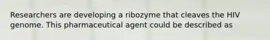 Researchers are developing a ribozyme that cleaves the HIV genome. This pharmaceutical agent could be described as