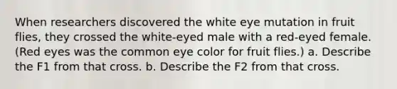 When researchers discovered the white eye mutation in fruit flies, they crossed the white-eyed male with a red-eyed female. (Red eyes was the common eye color for fruit flies.) a. Describe the F1 from that cross. b. Describe the F2 from that cross.