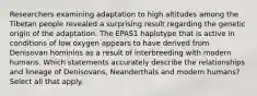 Researchers examining adaptation to high altitudes among the Tibetan people revealed a surprising result regarding the genetic origin of the adaptation. The EPAS1 haplotype that is active in conditions of low oxygen appears to have derived from Denisovan hominins as a result of interbreeding with modern humans. Which statements accurately describe the relationships and lineage of Denisovans, Neanderthals and modern humans? Select all that apply.