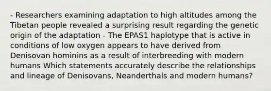 - Researchers examining adaptation to high altitudes among the Tibetan people revealed a surprising result regarding the genetic origin of the adaptation - The EPAS1 haplotype that is active in conditions of low oxygen appears to have derived from Denisovan hominins as a result of interbreeding with modern humans Which statements accurately describe the relationships and lineage of Denisovans, Neanderthals and modern humans?