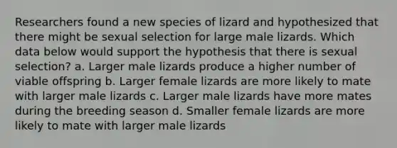 Researchers found a new species of lizard and hypothesized that there might be sexual selection for large male lizards. Which data below would support the hypothesis that there is sexual selection? a. Larger male lizards produce a higher number of viable offspring b. Larger female lizards are more likely to mate with larger male lizards c. Larger male lizards have more mates during the breeding season d. Smaller female lizards are more likely to mate with larger male lizards