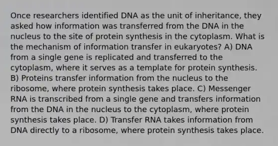 Once researchers identified DNA as the unit of inheritance, they asked how information was transferred from the DNA in the nucleus to the site of protein synthesis in the cytoplasm. What is the mechanism of information transfer in eukaryotes? A) DNA from a single gene is replicated and transferred to the cytoplasm, where it serves as a template for protein synthesis. B) Proteins transfer information from the nucleus to the ribosome, where protein synthesis takes place. C) Messenger RNA is transcribed from a single gene and transfers information from the DNA in the nucleus to the cytoplasm, where protein synthesis takes place. D) Transfer RNA takes information from DNA directly to a ribosome, where protein synthesis takes place.