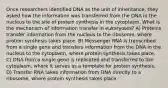 Once researchers identified DNA as the unit of inheritance, they asked how the information was transferred from the DNA in the nucleus to the site of protein synthesis in the cytoplasm. What is the mechanism of information transfer in eukaryotes? A) Proteins transfer information from the nucleus to the ribosome, where protein synthesis takes place. B) Messenger RNA is transcribed from a single gene and transfers information from the DNA in the nucleus to the cytoplasm, where protein synthesis takes place. C) DNA from a single gene is replicated and transferred to the cytoplasm, where it serves as a template for protein synthesis. D) Transfer RNA takes information from DNA directly to a ribosome, where protein synthesis takes place.