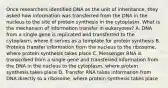 Once researchers identified DNA as the unit of inheritance, they asked how information was transferred from the DNA in the nucleus to the site of protein synthesis in the cytoplasm. What is the mechanism of information transfer in eukaryotes? A. DNA from a single gene is replicated and transferred to the cytoplasm, where it serves as a template for protein synthesis B. Proteins transfer information from the nucleus to the ribosome, where protein synthesis takes place C. Messenger RNA is transcribed from a single gene and transferred information from the DNA in the nucleus to the cytoplasm, where protein synthesis takes place D. Transfer RNA takes information from DNA directly to a ribosome, where protein synthesis takes place