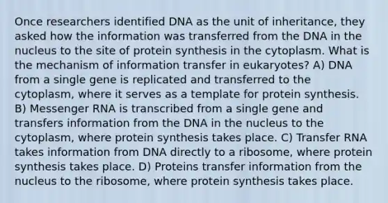 Once researchers identified DNA as the unit of inheritance, they asked how the information was transferred from the DNA in the nucleus to the site of protein synthesis in the cytoplasm. What is the mechanism of information transfer in eukaryotes? A) DNA from a single gene is replicated and transferred to the cytoplasm, where it serves as a template for protein synthesis. B) Messenger RNA is transcribed from a single gene and transfers information from the DNA in the nucleus to the cytoplasm, where protein synthesis takes place. C) Transfer RNA takes information from DNA directly to a ribosome, where protein synthesis takes place. D) Proteins transfer information from the nucleus to the ribosome, where protein synthesis takes place.