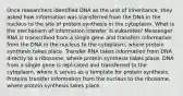 Once researchers identified DNA as the unit of inheritance, they asked how information was transferred from the DNA in the nucleus to the site of protein synthesis in the cytoplasm. What is the mechanism of information transfer in eukarotes? Messenger RNA is transcribed from a single gene and transfers information from the DNA in the nucleus to the cytoplasm, where protein synthesis takes place. Transfer RNA takes information from DNA directly to a ribosome, where protein synthesis takes place. DNA from a single gene is replicated and transferred to the cytoplasm, where it serves as a template for protein synthesis. Proteins transfer information from the nucleus to the ribosome, where protein synthesis takes place.